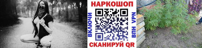 Как найти наркотики Петухово Alpha-PVP  Мефедрон  ГАШ  Канабис 