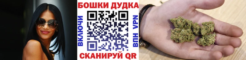 Бошки Шишки сатива закладка Петухово